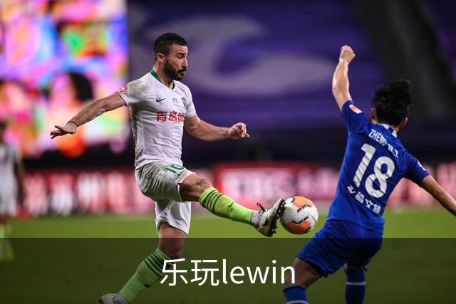 乐玩lewin公司简介展示图